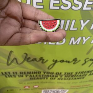 Charming watermelon enamel pin