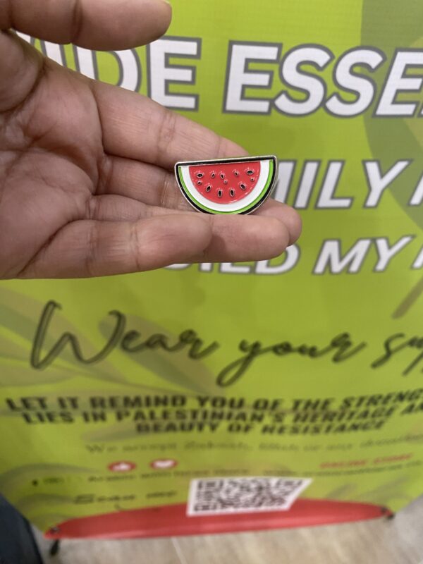 Charming watermelon enamel pin