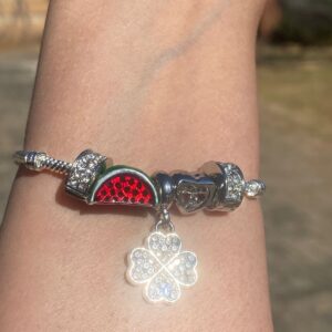 Watermelon Style (5 charms) Bracelet
