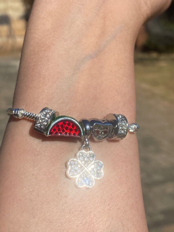 Watermelon Style (5 charms) Bracelet